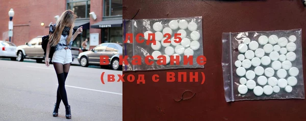 ГАЛЛЮЦИНОГЕННЫЕ ГРИБЫ Алзамай