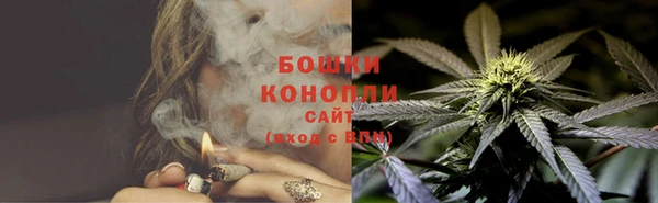 индика Снежногорск