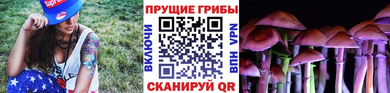 Псилоцибиновые грибы Magic Shrooms Лермонтов