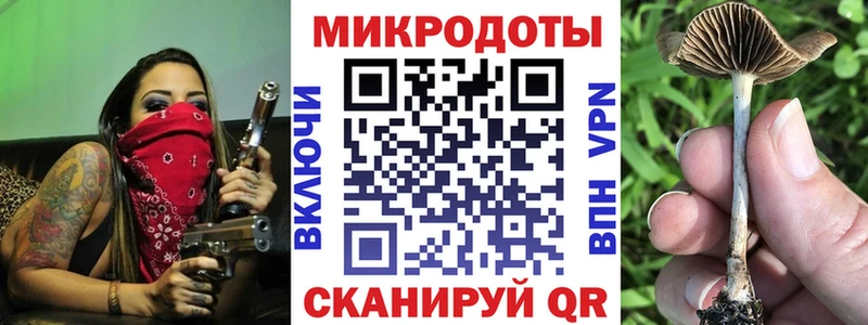 mega зеркало Лермонтов Псилоцибиновые грибы прущие грибы хочу
